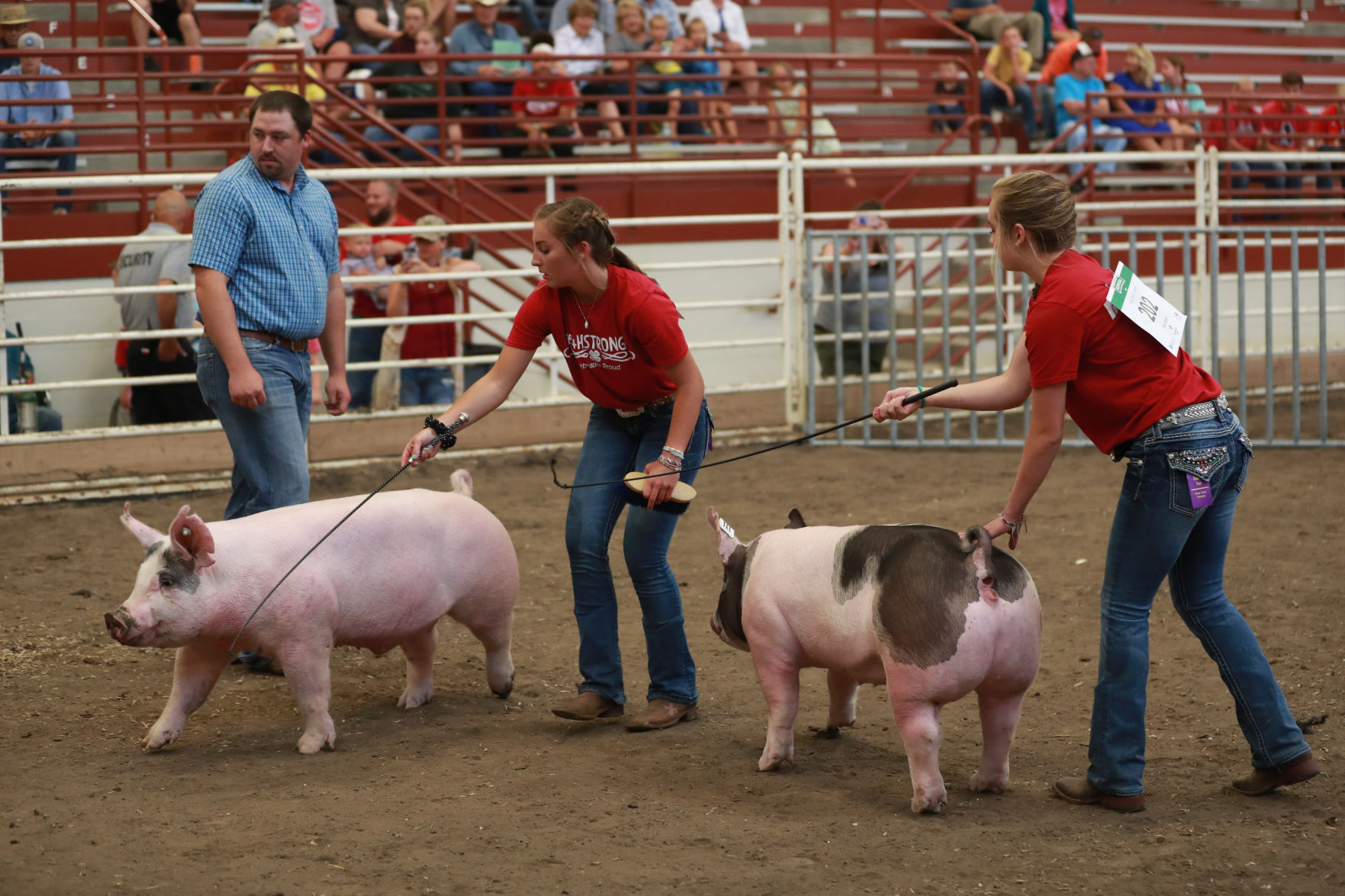 071119_HallCoFair57_bjs.JPG
